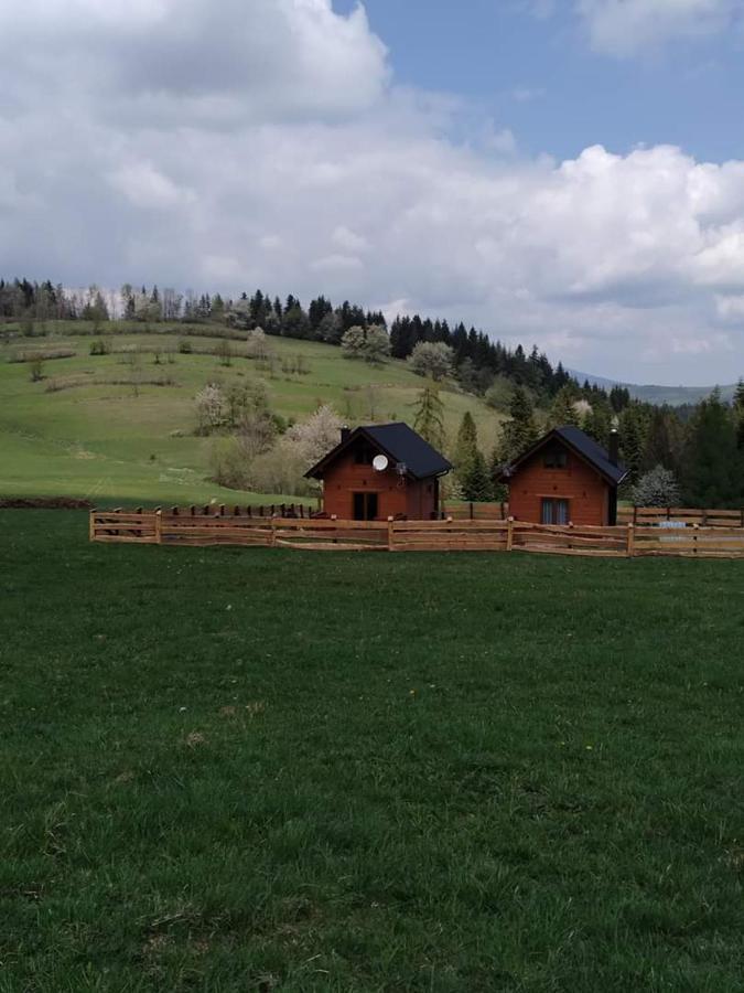 Шале Na Zagroniu Конінкі